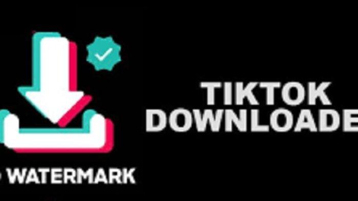 Snaptik: Membebaskan Video dari Tawanan Platform